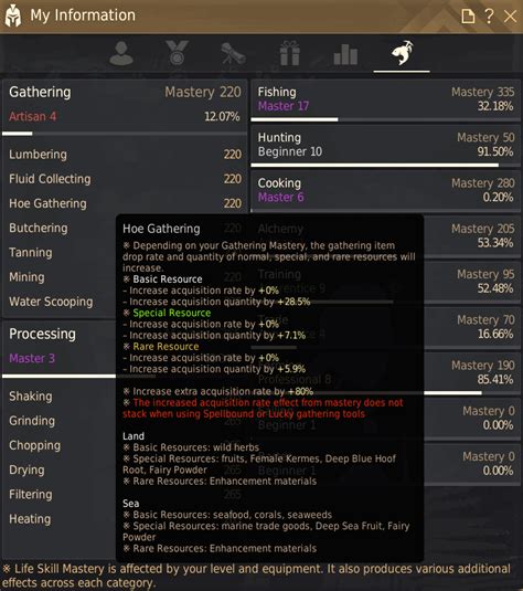BDO Life Mastery Series: Gathering Mastery .